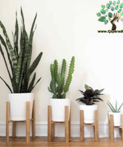 استند زمینی چوبی WGS13 wooden ground stands