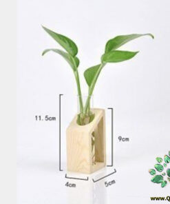 استند زمینی چوبی WGS18 wooden ground stands