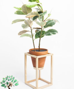 استند زمینی چوبی WGS25 wooden ground stands