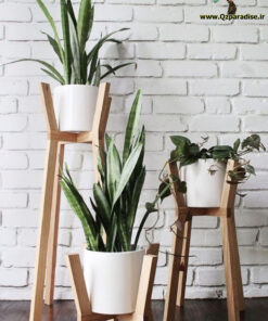 استند زمینی چوبی WGS4 wooden ground stands