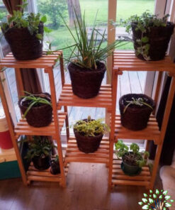 استند زمینی چوبی WGS41 wooden ground stands