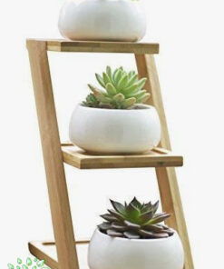 استند زمینی چوبی WGS52 wooden ground stands