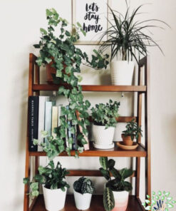 استند زمینی چوبی WGS54 wooden ground stands