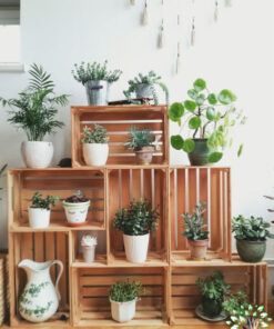 استند زمینی چوبی WGS58 wooden ground stands