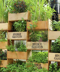 استند زمینی چوبی WGS6 wooden ground stands