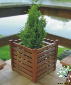 استند زمینی چوبی WGS74 wooden ground stands
