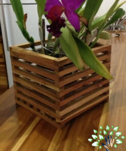 استند زمینی چوبی WGS76 wooden ground stands