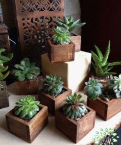استند زمینی چوبی WGS79 wooden ground stands