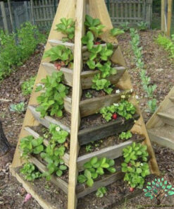 استند زمینی چوبی WGS9 wooden ground stands