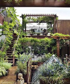 بام سبز GR17 Green roof