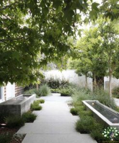 بام سبز GR19 Green roof