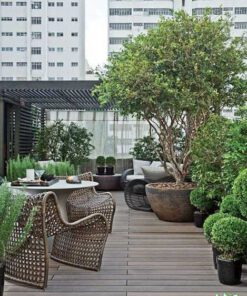 بام سبز GR24 Green roof