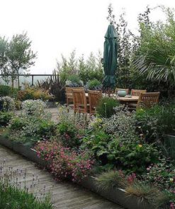 بام سبز GR26 Green roof