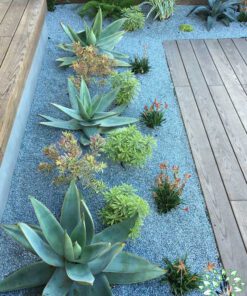 بام سبز GR36 Green roof
