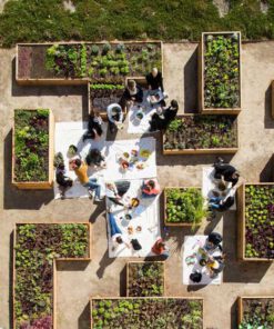 بام سبز GR41 Green roof
