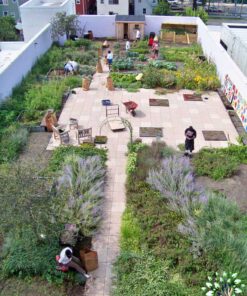 بام سبز GR63 Green roof