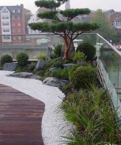 بام سبز GR67 Green roof