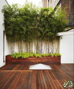 بام سبز GR72 Green roof