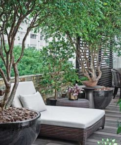 بام سبز GR9 Green roof