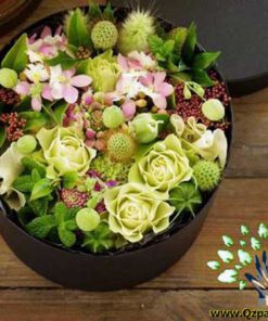 باکس گل طبیعی NFB131 Natural Flower Box