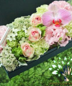 باکس گل طبیعی NFB189 Natural Flower Box