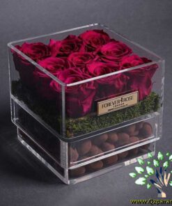 باکس گل طبیعی NFB209 Natural Flower Box
