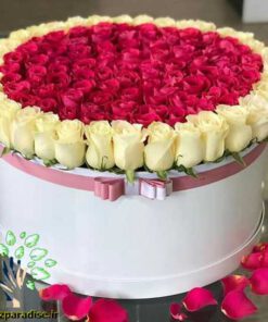 باکس گل طبیعی NFB250 Natural Flower Box