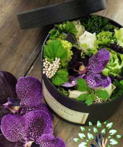 باکس گل طبیعی NFB267 Natural Flower Box