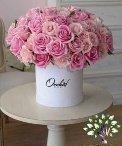 باکس گل طبیعی NFB290 Natural Flower Box