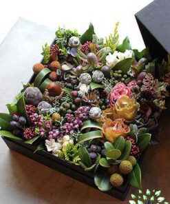 باکس گل طبیعی NFB357 Natural Flower Box