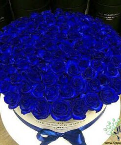 باکس گل طبیعی NFB388 Natural Flower Box