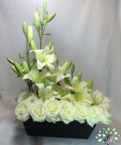 ﻿در صورتی که عکس کالای باکس گل طبيعي nfb453 نمایش داده نشد با تیم پشتیبانی هماهنگ کنید.