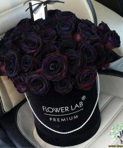 ﻿در صورتی که عکس کالای باکس گل طبيعي nfb463 نمایش داده نشد با تیم پشتیبانی هماهنگ کنید.