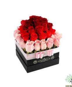 ﻿در صورتی که عکس کالای باکس گل طبيعي nfb464 نمایش داده نشد با تیم پشتیبانی هماهنگ کنید.