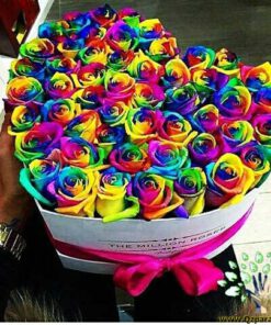 ﻿در صورتی که عکس کالای باکس گل طبيعي nfb466 نمایش داده نشد با تیم پشتیبانی هماهنگ کنید.