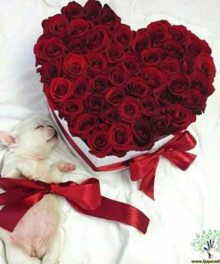 ﻿در صورتی که عکس کالای باکس گل طبيعي nfb469 نمایش داده نشد با تیم پشتیبانی هماهنگ کنید.