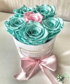 ﻿در صورتی که عکس کالای باکس گل طبيعي nfb470 نمایش داده نشد با تیم پشتیبانی هماهنگ کنید.