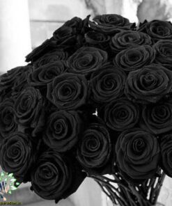 ﻿در صورتی که عکس کالای باکس گل طبيعي nfb475 نمایش داده نشد با تیم پشتیبانی هماهنگ کنید.