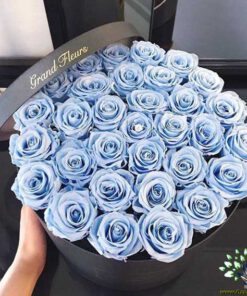 ﻿در صورتی که عکس کالای باکس گل طبيعي nfb494 نمایش داده نشد با تیم پشتیبانی هماهنگ کنید.