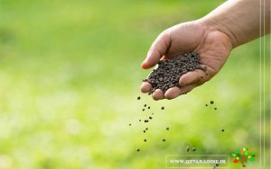 در صورتی که عکس کود ماکرو نمایش داده نشد با تیم پشتیبانی مجموعه پارادایس هماهنگ نمایید .