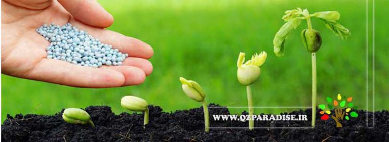 Micro fertilizer paradise qzparadise qazvin golkade npk 768x281 - کود میکرو چیست ؟ شرح دهید .