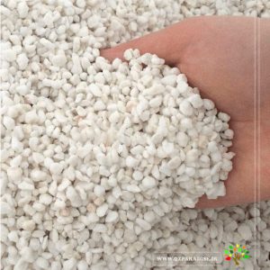 در صورتی که عکس پرلیت در دست گرفته نمایش داده نشد با تیم پشتیبانی مجموعه پارادایس هماهنگ نمایید.