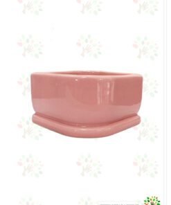 درصورت عدم نمایش تصویر ceramic-vese-atefeh1 با تیم پشتیبانی هماهنگ کنید.