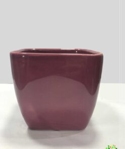 در صورتی که عکس ceramic-vese-lale1_paradise_qzparadise_qazvin_golkade-zereshki.jpg نمایش داده نشد با تیم پشتیبانی هماهنگ کنید.