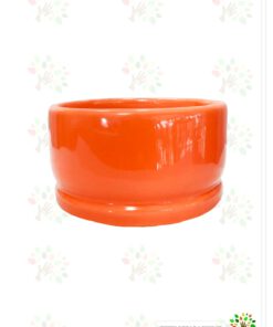 در صورت عدم نمایش تصویر ceramic-vese-negin1 با تیم پشتیبانی هماهنگ کنید