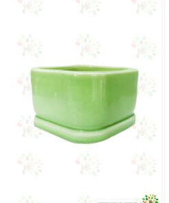 در صورت عدم نمایش تصویرceramic- vese-nilofar1 با تیم پشتیبانی هماهنگ کنید.