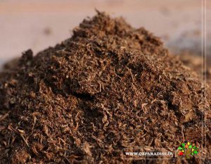 در صورتی که عکس پیت ماوس نمایش داده نشد با تیم پشتیبانی هماهنگ کنید .