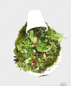 دیش گاردن طبیعی زیبا