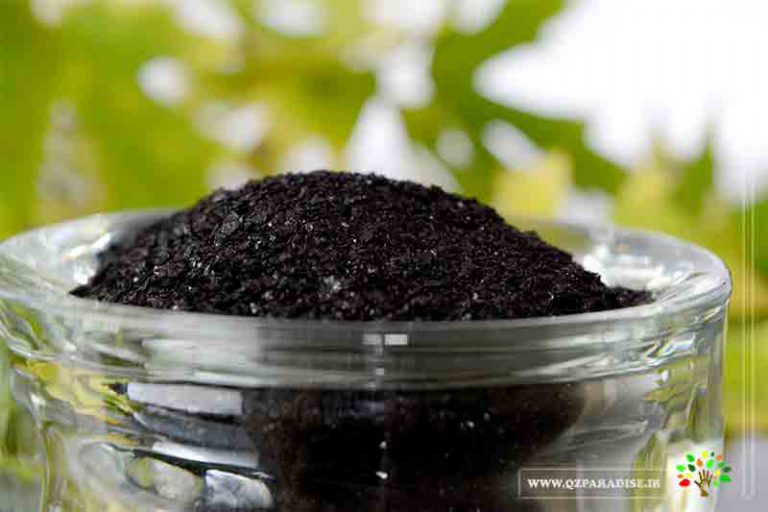 هیومیک اسید چیست ؟ %D9%87%DB%8C%D9%88%D9%85%DB%8C%DA%A9 %D8%A7%D8%B3%DB%8C%D8%AF %D9%BE%D8%A7%D8%B1%D8%A7%D8%AF%D8%A7%DB%8C%D8%B3 2 768x512 - هیومیک اسید چیست ؟