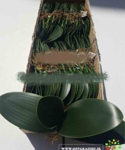 گل مصنوعی AFM113 Artificial Flower
